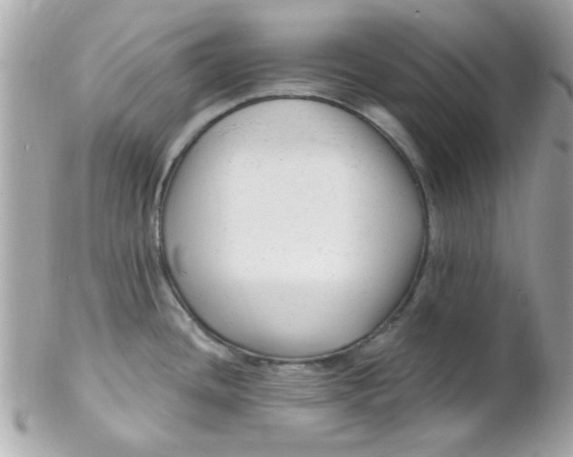 X0000102311436200808152031