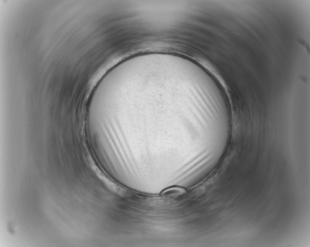 X0000102311437200808152031