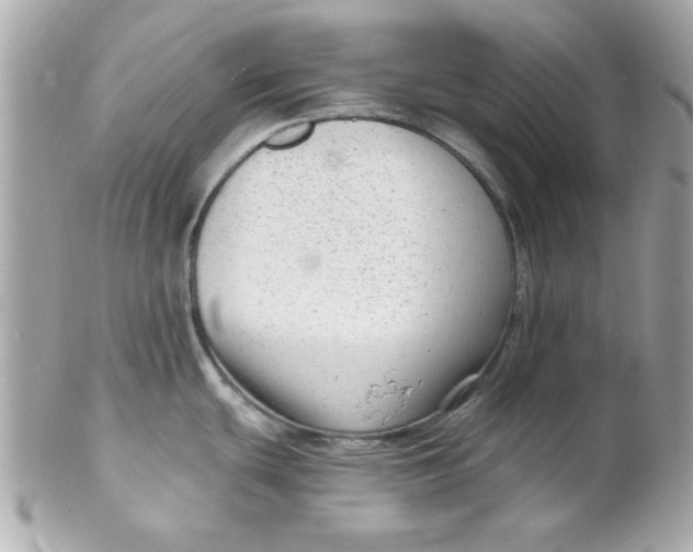 X0000102311439200808152031