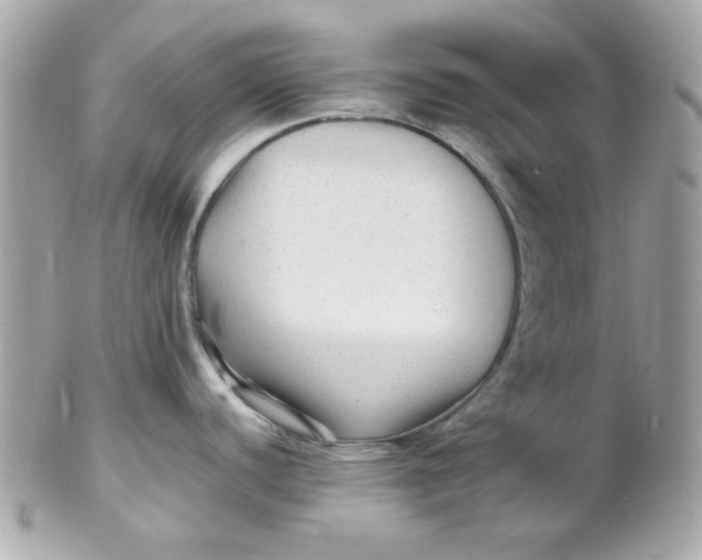 X0000102311440200808152031