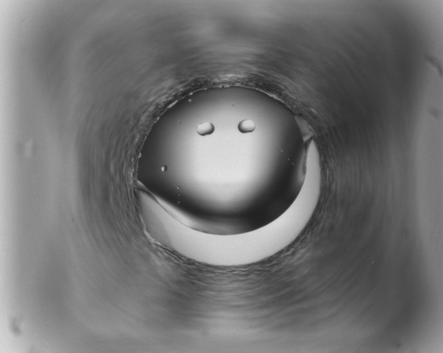 X0000102311441200808152030