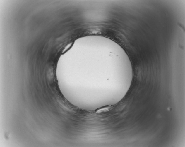 X0000102311442200808152030