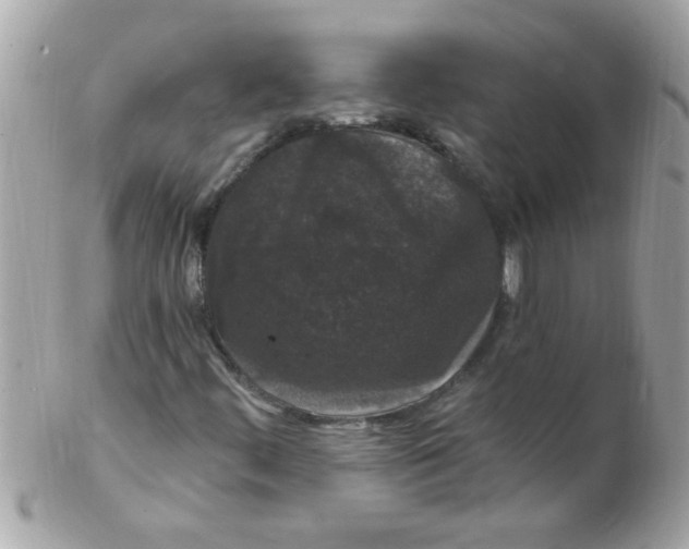 X0000102311444200808152030