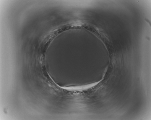 X0000102311445200808152030