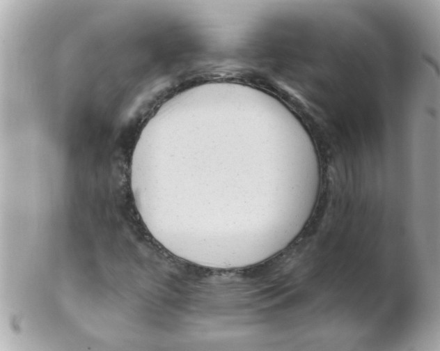 X0000102311447200808152030