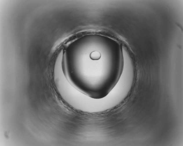 X0000102311448200808152030