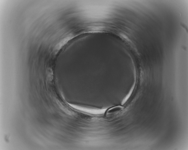 X0000102311449200808152030