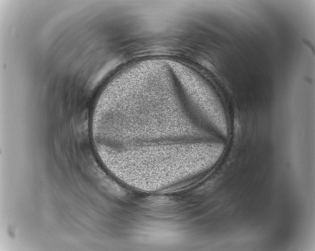 X0000102311450200808152030