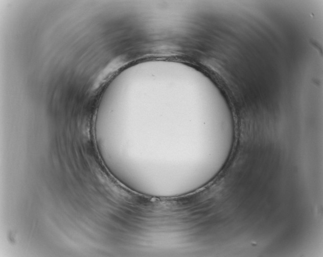 X0000102311451200808152030
