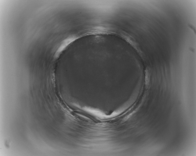 X0000102311453200808152030