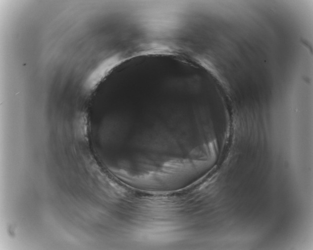 X0000102311455200808152030