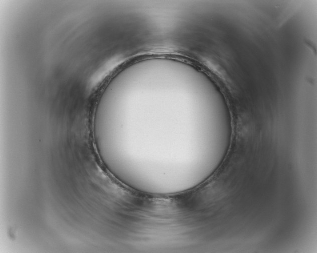 X0000102311456200808152030