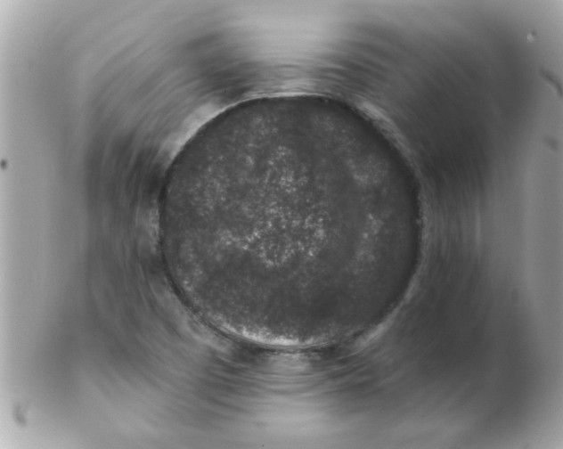 X0000102311457200808152030