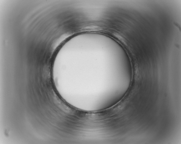 X0000102311458200808152030