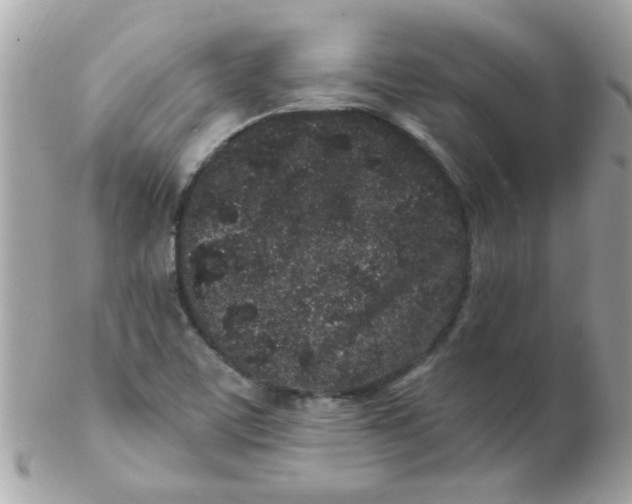 X0000102311459200808152030