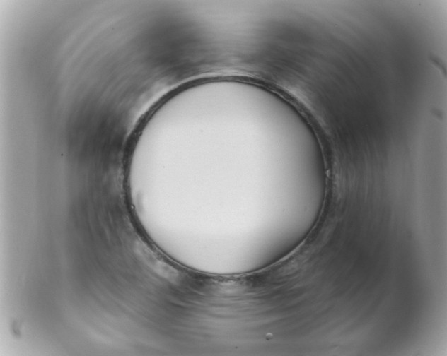 X0000102311460200808152030