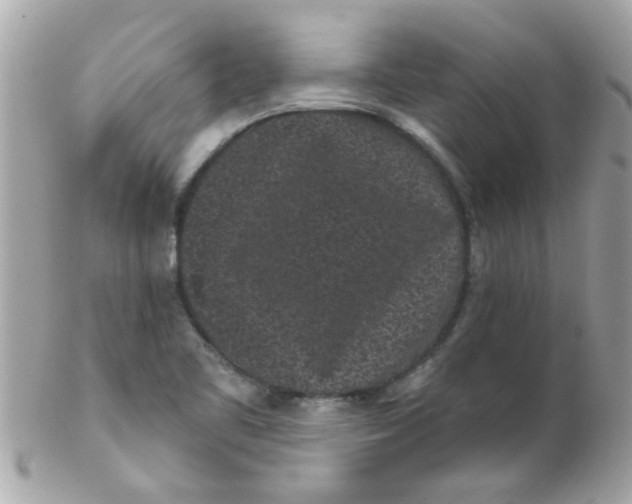 X0000102311461200808152030