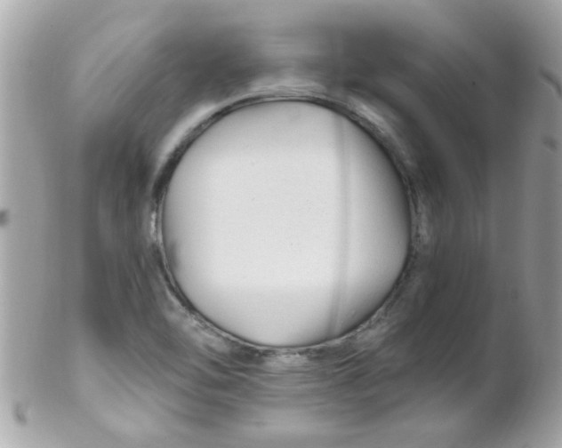 X0000102311462200808152030