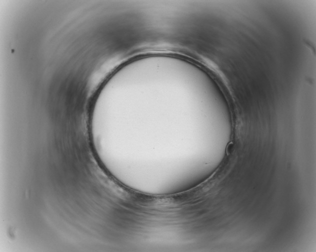 X0000102311464200808152030
