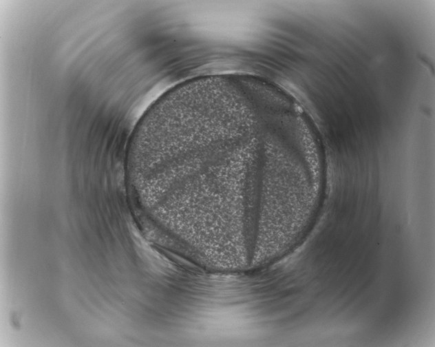 X0000102311465200808152030