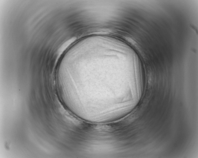 X0000102311466200808152030