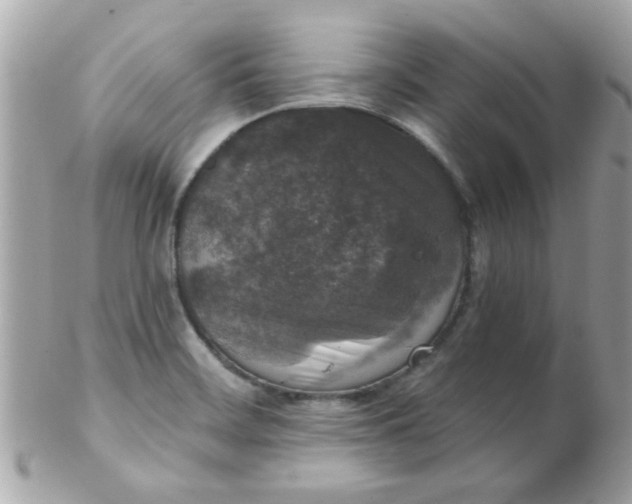 X0000102311468200808152030