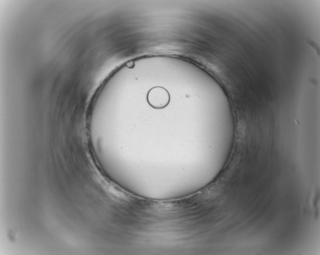 X0000102311470200808152030