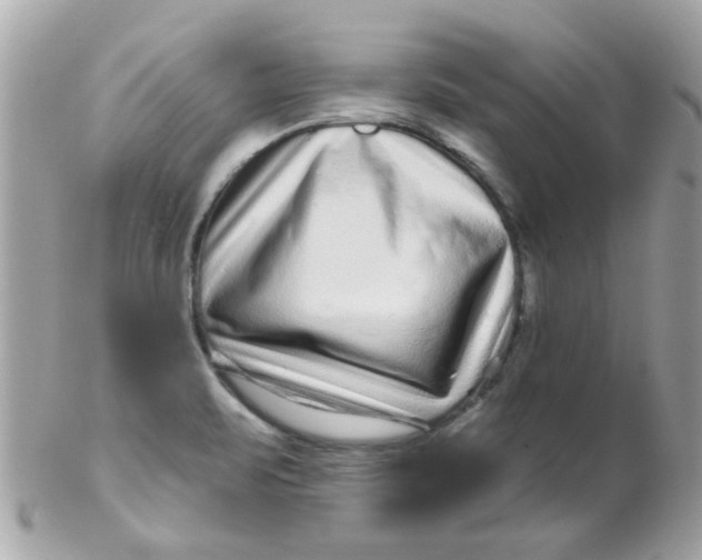X0000102311471200808152030