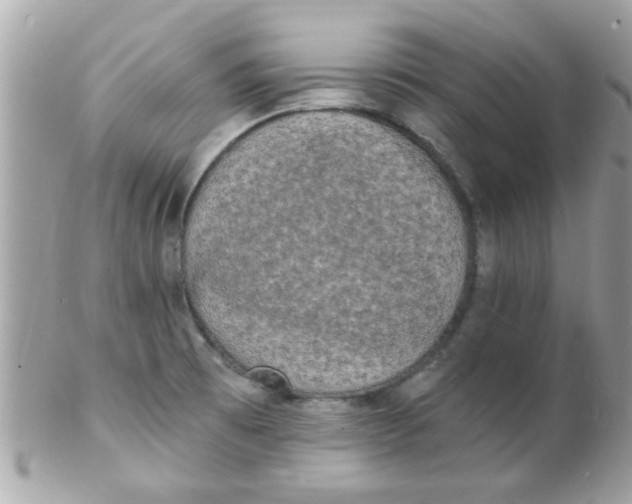 X0000102311473200808152030