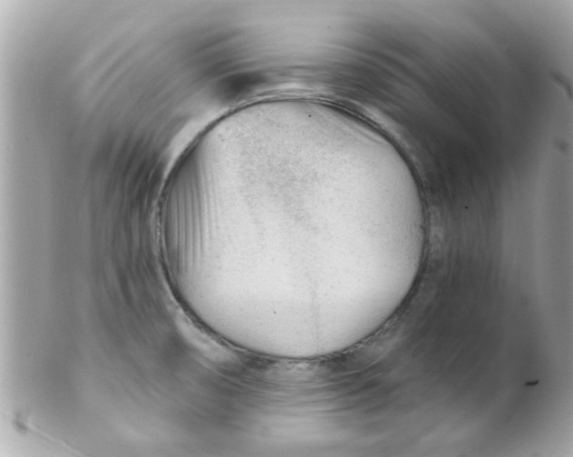 X0000102311474200808152030