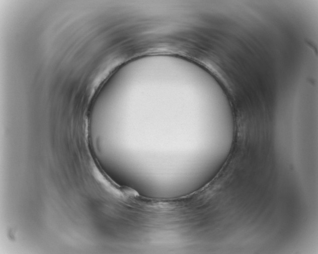 X0000102311476200808152029