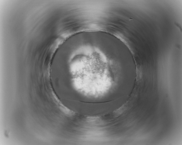 X0000102311477200808152029