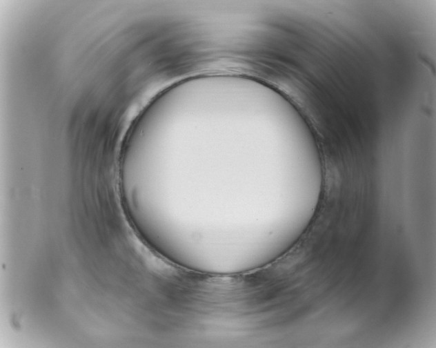 X0000102311478200808152029