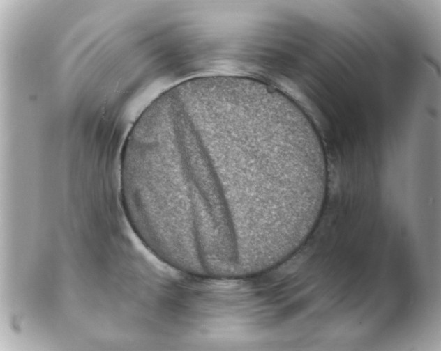X0000102311479200808152029