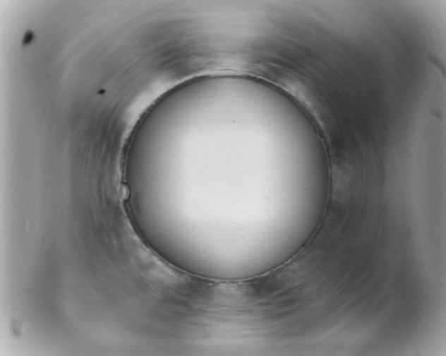 X0000102311480200808152029