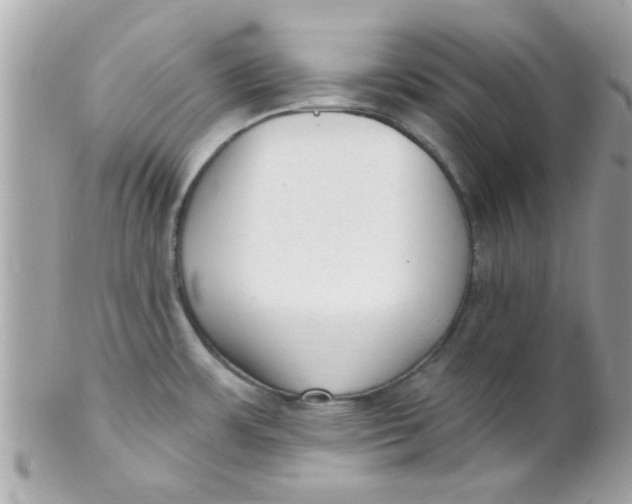 X0000102311483200808152029