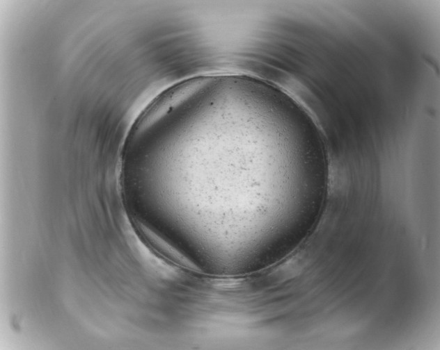 X0000102311484200808152029