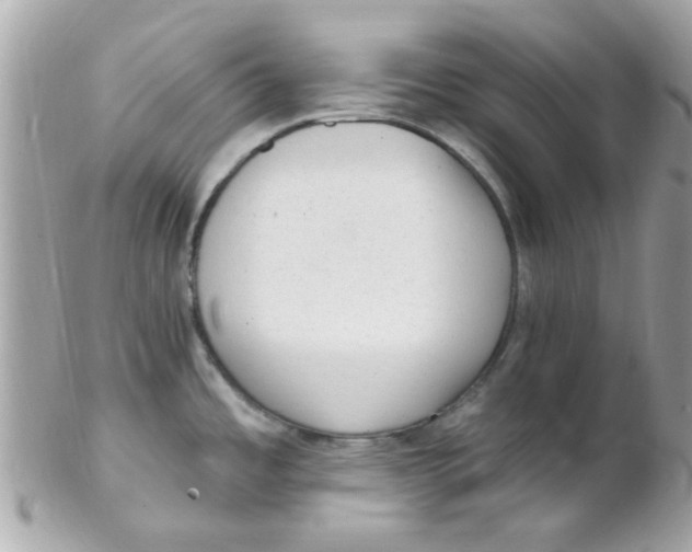 X0000102311485200808152029