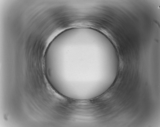 X0000102311486200808152029