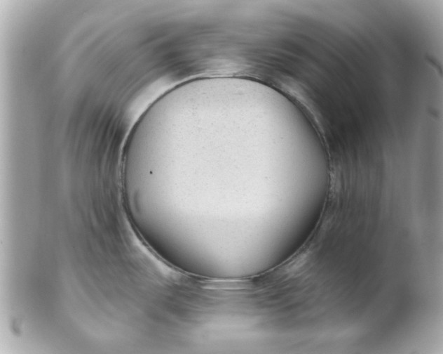 X0000102311487200808152029