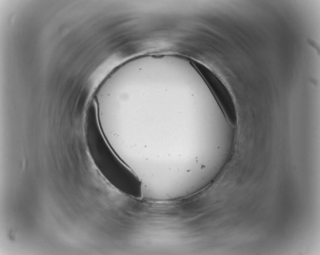 X0000102311488200808152029