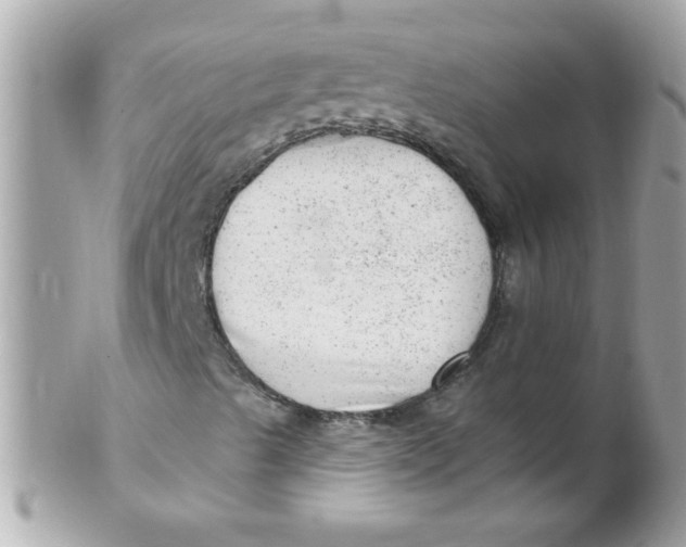X0000102311489200808152029