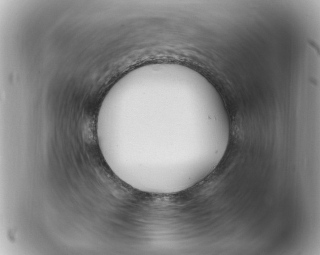 X0000102311490200808152029