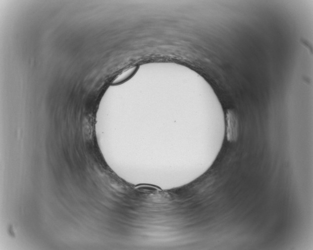 X0000102311491200808152029
