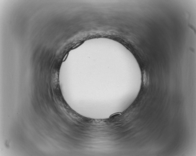 X0000102311492200808152029