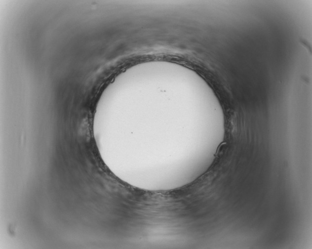 X0000102311493200808152029