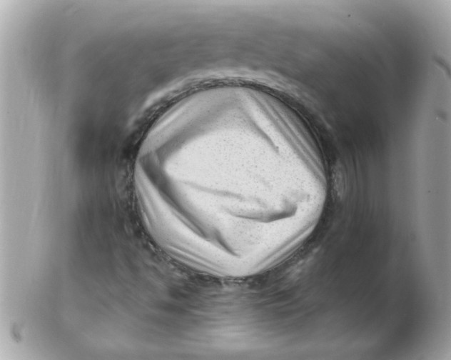 X0000102311494200808152029