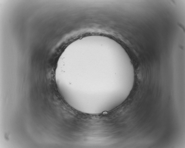 X0000102311495200808152029