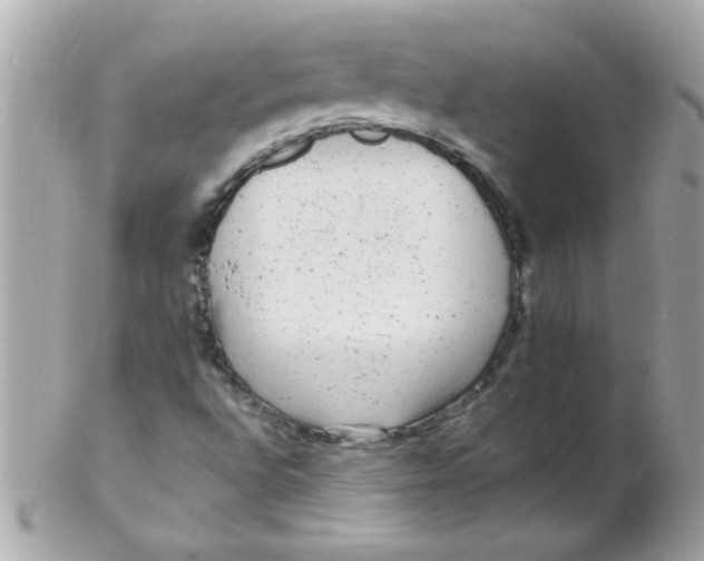 X0000102311496200808152029