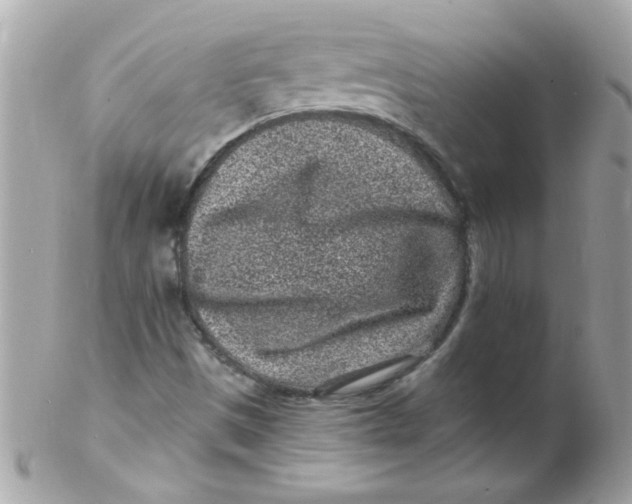 X0000102311497200808152029